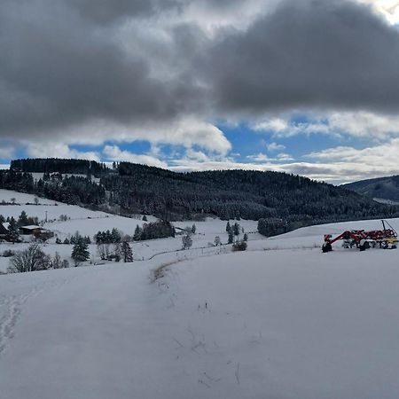 Ferienwohnung Schwarzwaldstube Titisee-Neustadt Exterior foto