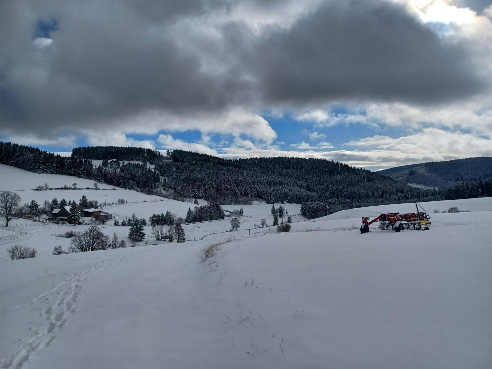 Ferienwohnung Schwarzwaldstube Titisee-Neustadt Exterior foto