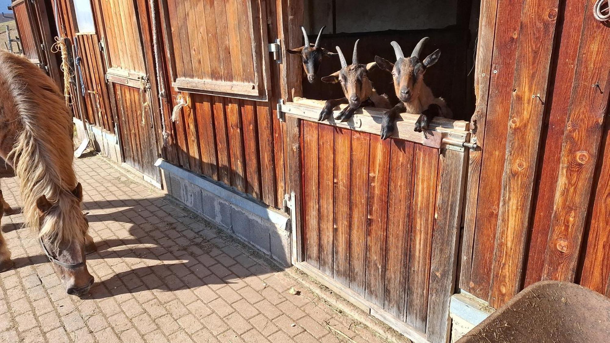 Ferienwohnung Schwarzwaldstube Titisee-Neustadt Exterior foto
